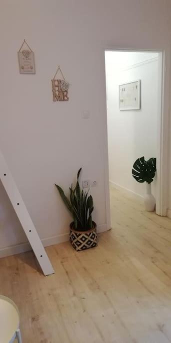 Heart Of Athens II 25Sqm Leilighet Eksteriør bilde