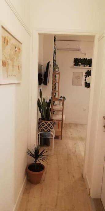 Heart Of Athens II 25Sqm Leilighet Eksteriør bilde